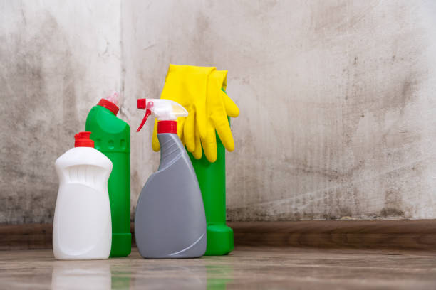 Why You Should Choose Our Mold Remediation Services in Judsonia, AR